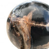 Petrified Wood Natural Home Decor Ball Set (2943)