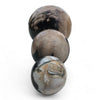 Petrified Wood Natural Home Decor Ball Set (2945)