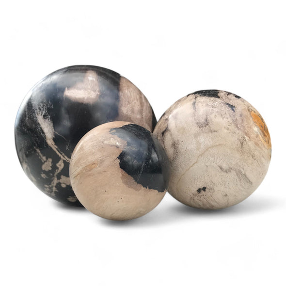 Petrified Wood Natural Home Decor Ball Set (2946)