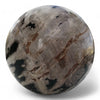 Petrified Wood Natural Home Decor Ball 20cm Diametre (2950)