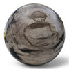 Petrified Wood Natural Home Decor Ball 20cm Diametre (2950)