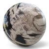 Petrified Wood Natural Home Decor Ball 20cm Diametre (2950)