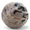 Petrified Wood Natural Home Decor Ball 20cm Diametre (2950)