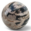 Petrified Wood Natural Home Decor Ball 20cm Diametre (2950)