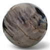 Petrified Wood Natural Home Decor Ball 20cm Diametre (2950)