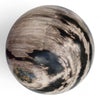 Petrified Wood Natural Home Decor Ball 20cm Diametre (2950)