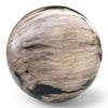 Petrified Wood Natural Home Decor Ball 20cm Diametre (2950)