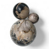 Petrified Wood Natural Home Decor Ball Set (2953)