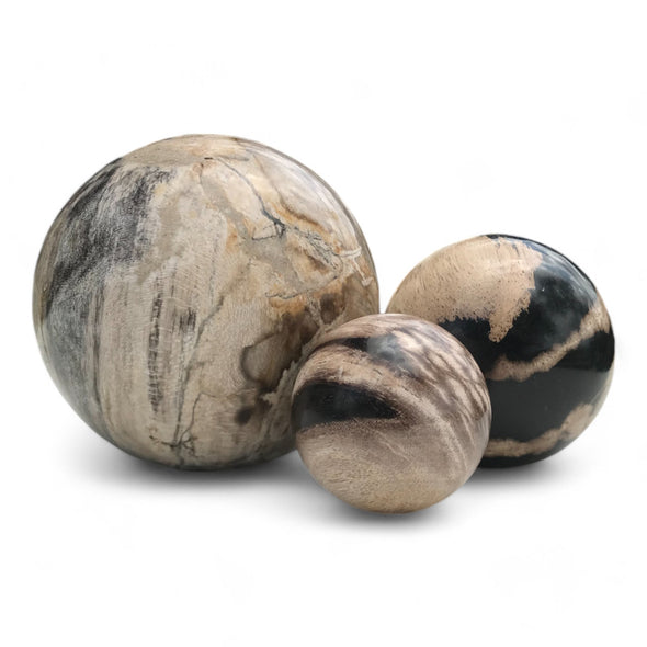 Petrified Wood Natural Home Decor Ball Set (2953)