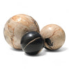 Petrified Wood Natural Home Decor Ball Set (2954)