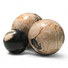 Petrified Wood Natural Home Decor Ball Set (2954)