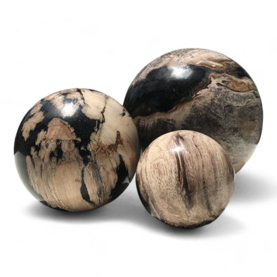 Petrified Wood Natural Home Decor Ball Set (2955)