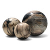 Petrified Wood Natural Home Decor Ball Set (2955)