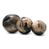 Petrified Wood Natural Home Decor Ball Set (2955)