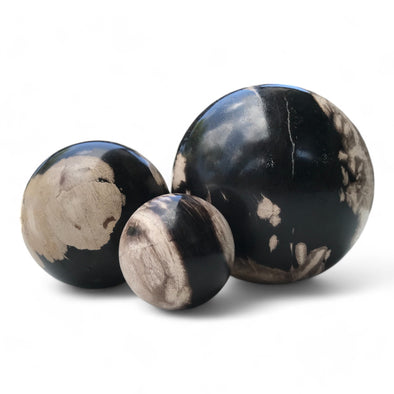 Petrified Wood Natural Home Decor Ball Set (2956)