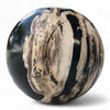 Petrified Wood Natural Home Decor Ball 80mm Diametre (2965)
