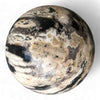 Petrified Wood Natural Home Decor Ball 80mm Diametre (2965)
