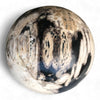Petrified Wood Natural Home Decor Ball 80mm Diametre (2965)