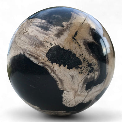 Petrified Wood Natural Home Decor Ball 80mm Diametre (2965)