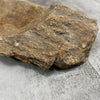 Raw Petrified Wood Natural Stone Luxury Dish & Bowl (PD1)