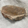 Raw Petrified Wood Natural Stone Luxury Dish & Bowl (PD2)