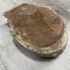 Raw Petrified Wood Natural Stone Luxury Dish & Bowl (PD2)