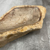 Raw Petrified Wood Natural Stone Luxury Dish & Bowl (PD4)