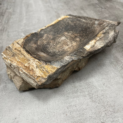Raw Petrified Wood Natural Stone Luxury Dish & Bowl (PD6)