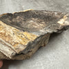 Raw Petrified Wood Natural Stone Luxury Dish & Bowl (PD6)