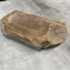 Raw Petrified Wood Natural Stone Luxury Dish & Bowl (PD7)