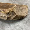 Raw Petrified Wood Natural Stone Luxury Dish & Bowl (PD7)
