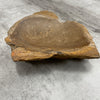 Raw Petrified Wood Natural Stone Luxury Dish & Bowl (PD9)