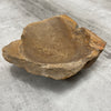 Raw Petrified Wood Natural Stone Luxury Dish & Bowl (PD9)