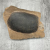 Raw Petrified Wood Natural Stone Luxury Dish & Bowl (PD10)