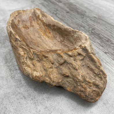 Raw Petrified Wood Natural Stone Luxury Dish & Bowl (PD13)