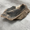 Raw Petrified Wood Natural Stone Luxury Dish & Bowl (PD12)