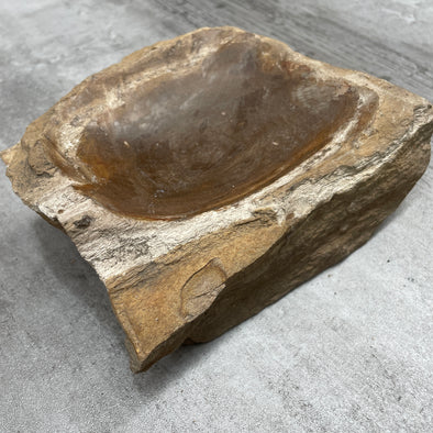 Raw Petrified Wood Natural Stone Luxury Dish & Bowl (PD14)