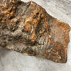 Raw Petrified Wood Natural Stone Luxury Dish & Bowl (PD15)