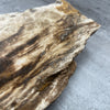 Raw Petrified Wood Natural Stone Luxury Dish & Bowl (PD16)