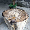 Luxury Petrified Wood Side Table (Height) 43cm x 31cm (1641)
