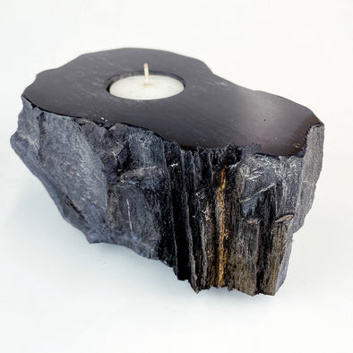 Petrified Wood Single Tealight Candle Holder (I)